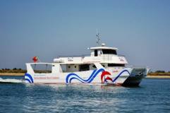 ophelia-catamaran-4